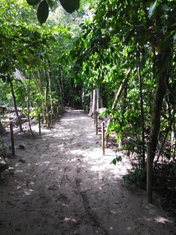 Return Path to the Entrance to the Parque Nacional Manuel Antonio Park in Costa Rica