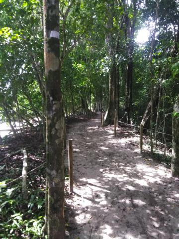 Return Path to the Entrance to the Parque Nacional Manuel Antonio Park in Costa Rica