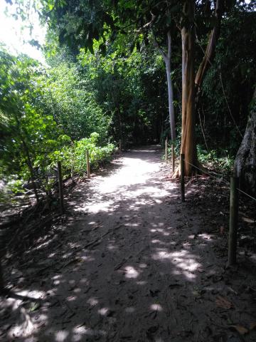 Return Path to the Entrance to the Parque Nacional Manuel Antonio Park in Costa Rica