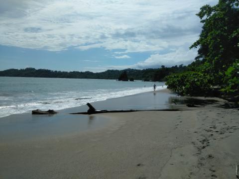 Pacific Ocean Beach Area Located at Parque Nacional Manuel Antonio Park Costa Rica