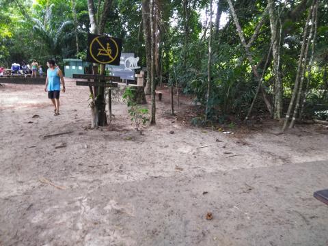 Pacific Ocean Beach Picnic Area With Wild Monkeys Located at Parque Nacional Manuel Antonio Park Costa Rica