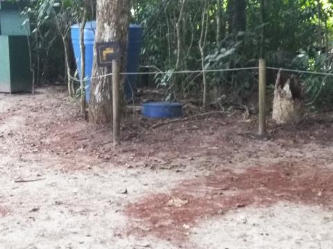 Pacific Ocean Beach Picnic Area With Wild Monkeys Located at Parque Nacional Manuel Antonio Park Costa Rica