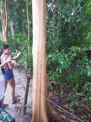 Return Path to the Entrance to the Parque Nacional Manuel Antonio Park in Costa Rica