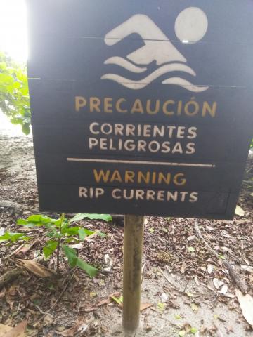 Information Board On Pathway at the Parque Nacional Manuel Antonio Park Costa Rica