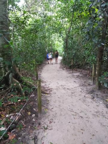 Marjorie Soto, Marilyn Soto and Isaac Soto on the Return Path to the Entrance to the Parque Nacional Manuel Antonio Park in Costa Rica