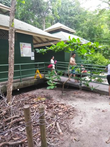 Return Path to the Entrance to the Parque Nacional Manuel Antonio Park in Costa Rica