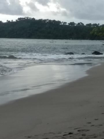 Pacific Ocean Beach Area Located at Parque Nacional Manuel Antonio Park Costa Rica