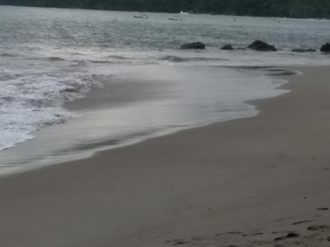 Pacific Ocean Beach Area Located at Parque Nacional Manuel Antonio Park Costa Rica