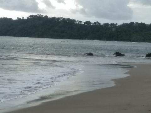 Pacific Ocean Beach Area Located at Parque Nacional Manuel Antonio Park Costa Rica