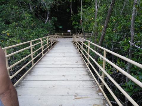 Return Path to the Entrance to the Parque Nacional Manuel Antonio Park in Costa Rica