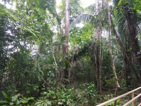 Return Path to the Entrance to the Parque Nacional Manuel Antonio Park in Costa Rica