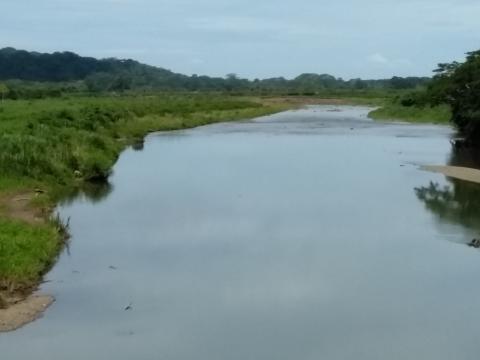 Tarcoles River in Tarcoles, Costa Rica.