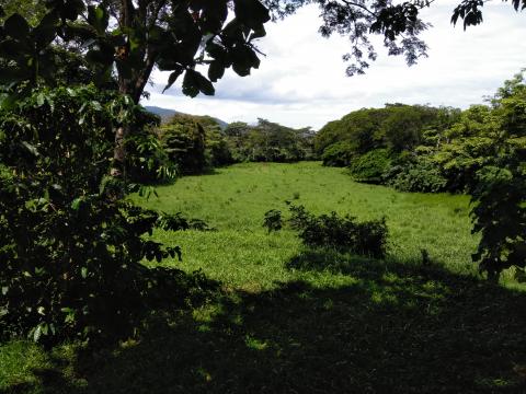 Land Behind a Tourist Shop at the Tarcoles River Bridge in Costa Rica