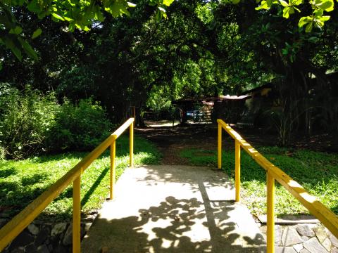 Land Behind a Tourist Shop at the Tarcoles River Bridge in Costa Rica.  This is a trail that you can take for a hike.