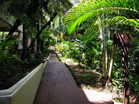 Pathway to The Falls Resort Hotel Rooms in Manuel Antonio, Costa Rica