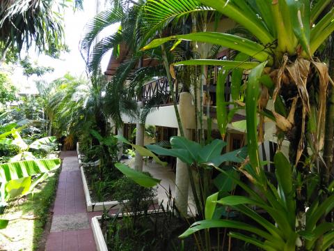 Pathway to The Falls Resort Hotel Rooms in Manuel Antonio, Costa Rica.