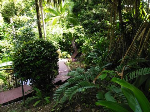 Pathway to The Falls Resort Hotel Rooms in Manuel Antonio, Costa Rica.