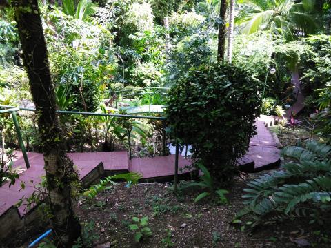 Pathway to The Falls Resort Hotel Rooms in Manuel Antonio, Costa Rica.