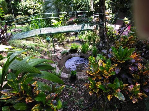 Pathway to The Falls Resort Hotel Rooms in Manuel Antonio, Costa Rica.