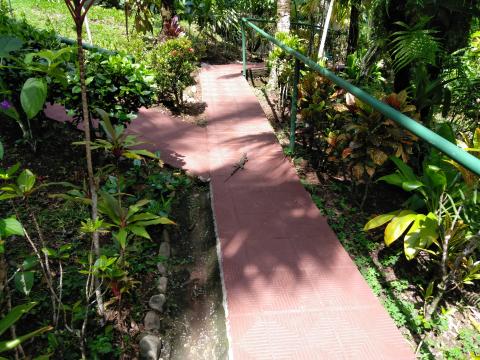 Pathway to The Falls Resort Hotel Rooms in Manuel Antonio, Costa Rica.