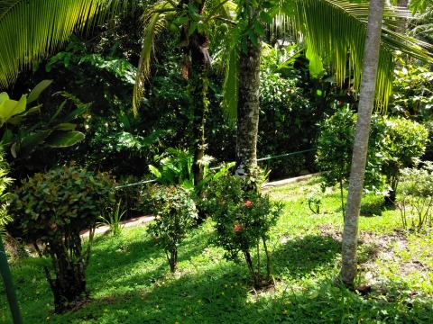 Pathway to The Falls Resort Hotel Rooms in Manuel Antonio, Costa Rica.