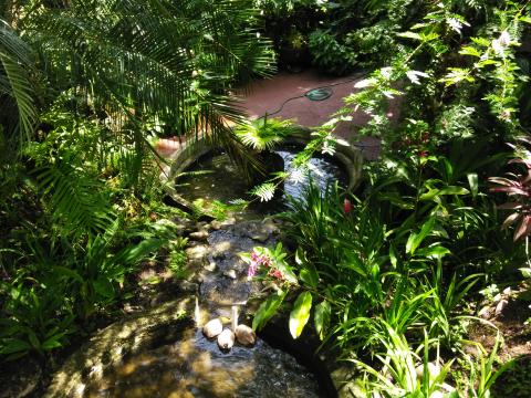 Pathway to The Falls Resort Hotel Rooms in Manuel Antonio, Costa Rica.