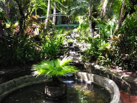 Pathway to The Falls Resort Hotel Rooms in Manuel Antonio, Costa Rica.