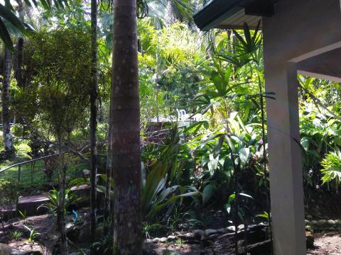 Pathway to The Falls Resort Hotel Rooms in Manuel Antonio, Costa Rica.