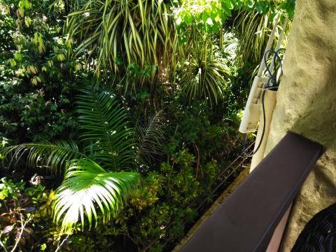 The Jungle Within The Falls Resort Hotel Area in Manuel Antonio, Costa Rica