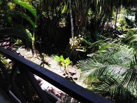 The Jungle Within The Falls Resort Hotel Area in Manuel Antonio, Costa Rica