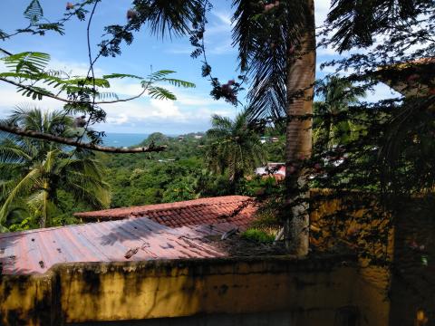 Looking at the Ocean Across the Street From The Falls Resort in Manuel Antonio, Costa Rica