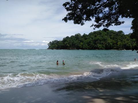 Pacific Ocean Beach Area Located at Parque Nacional Manuel Antonio Park Costa Rica