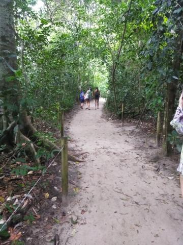 Marjorie Soto, Marilyn Soto and Isaac Soto on the Return Path to the Entrance to the Parque Nacional Manuel Antonio Park in Costa Rica